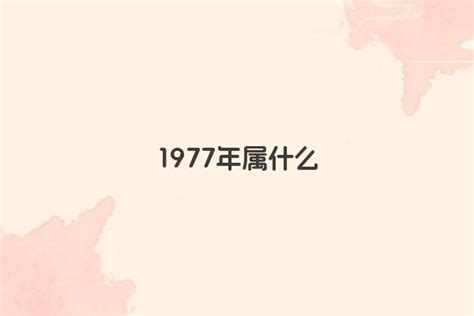 1977属什么